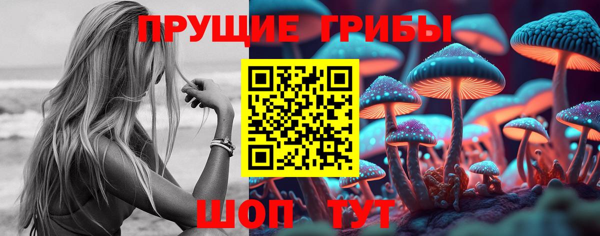 Приморско-Ахтарск  Псилоцибиновые грибы Cubensis  Вход с VPN 